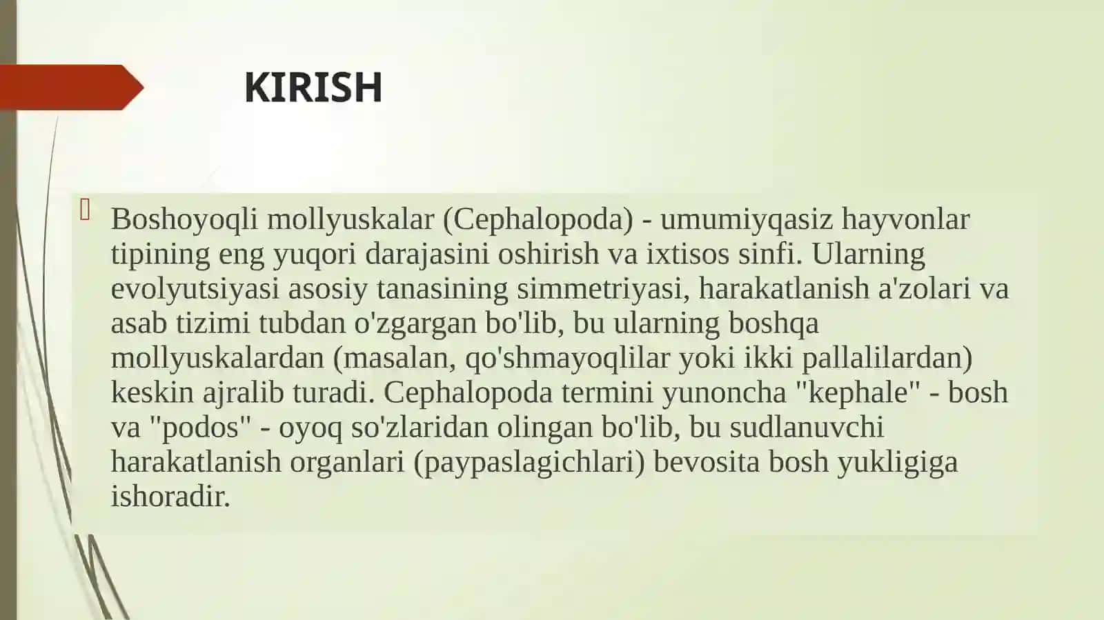 Boshoyoqlimollyuskarlar (cephalopoda) sinfibiologiyasi va ekologiyasi 2