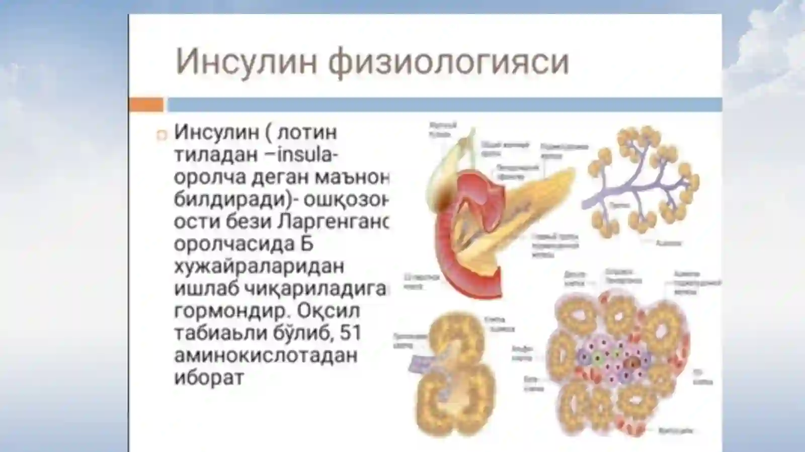 Инсулинотерапия 2