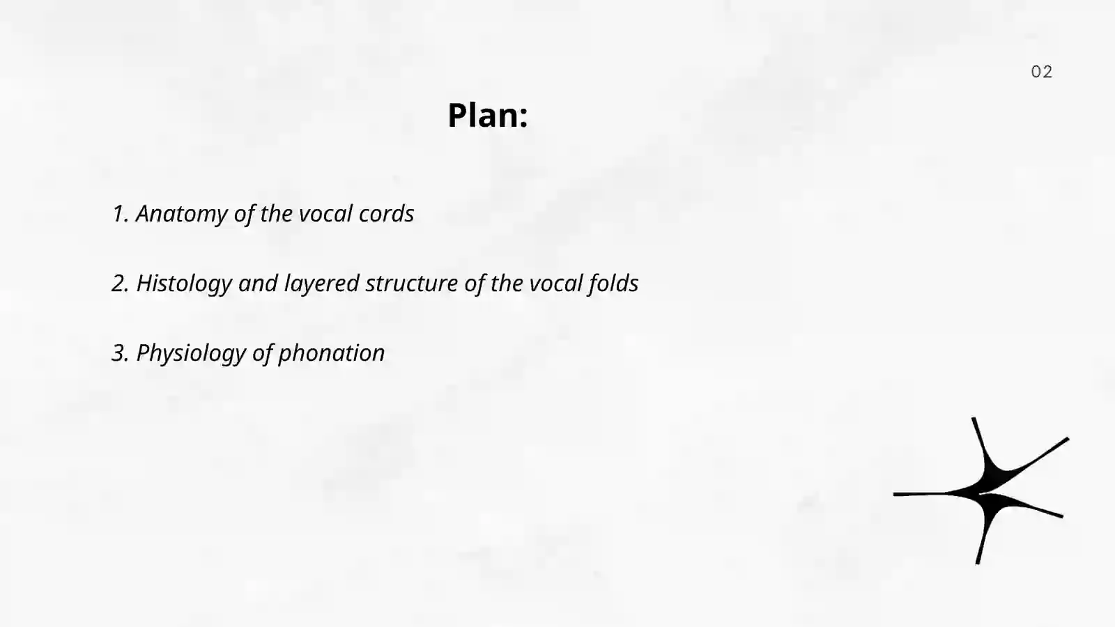 About Vocal Cords 2