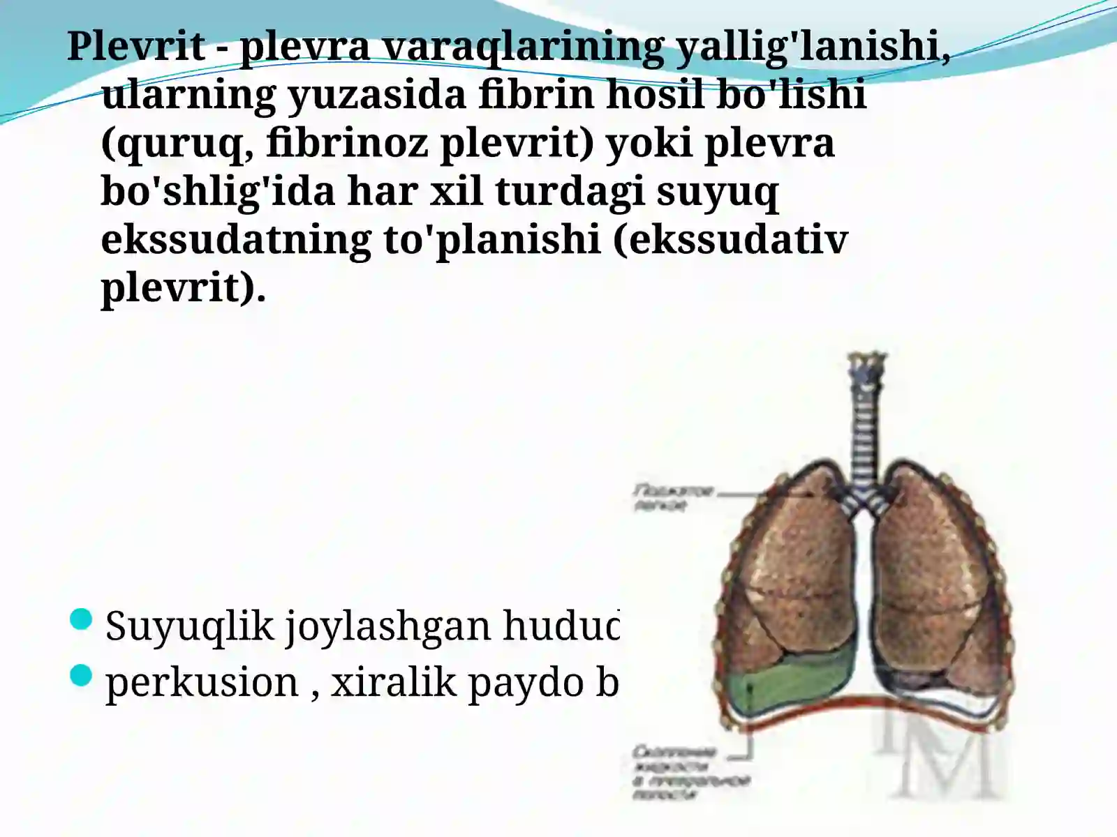 Plevrit 2
