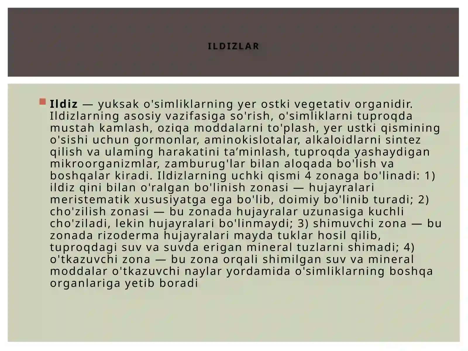 Ildizlar 2