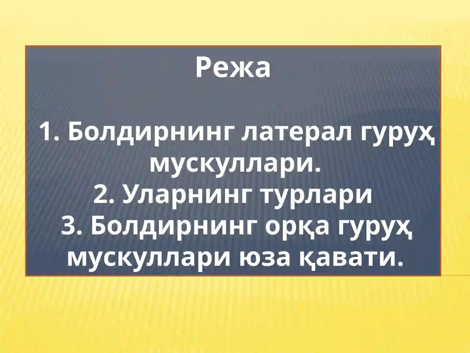 Preview 2