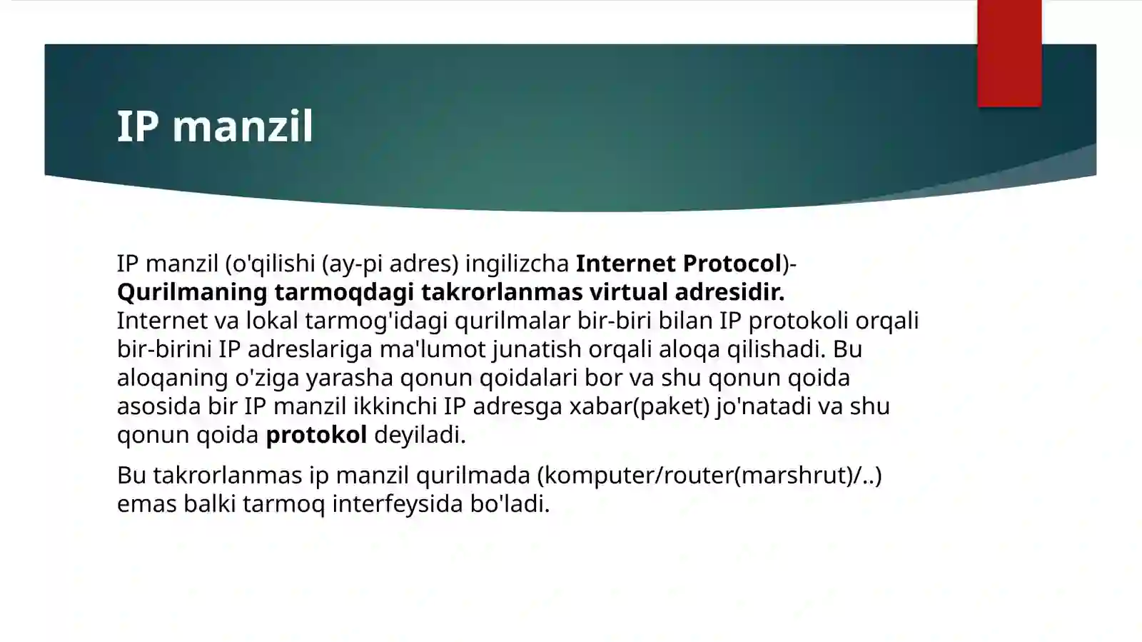 IP manzil 2