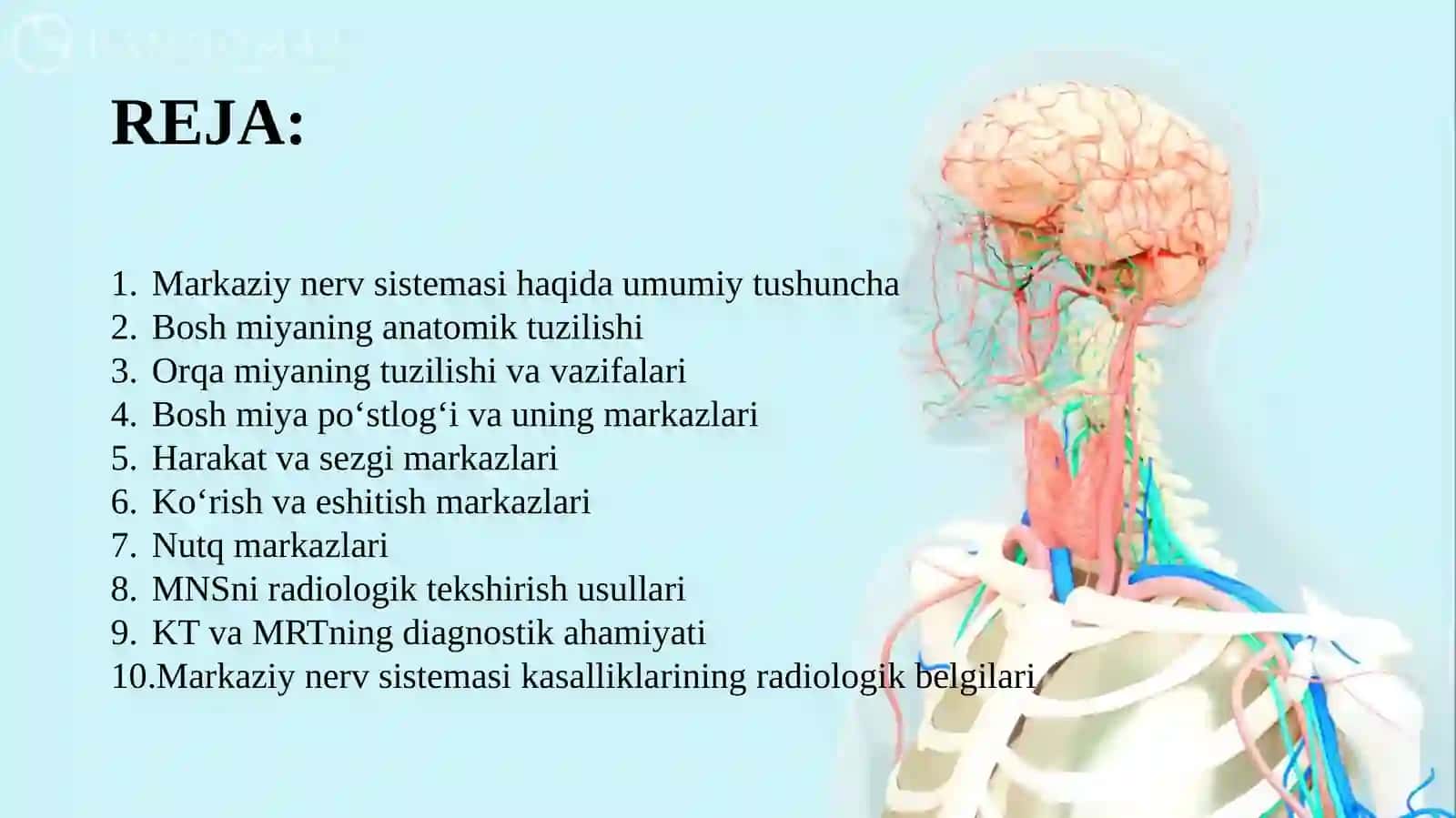 MARKAZIY NERV SISTEMASI VA MARKAZLARI 2