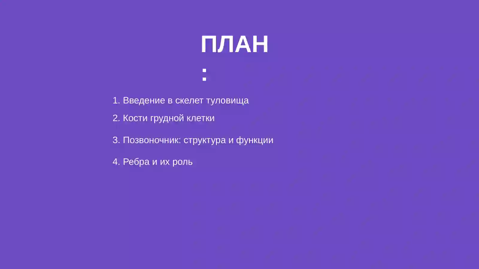 Скелет туловища 2