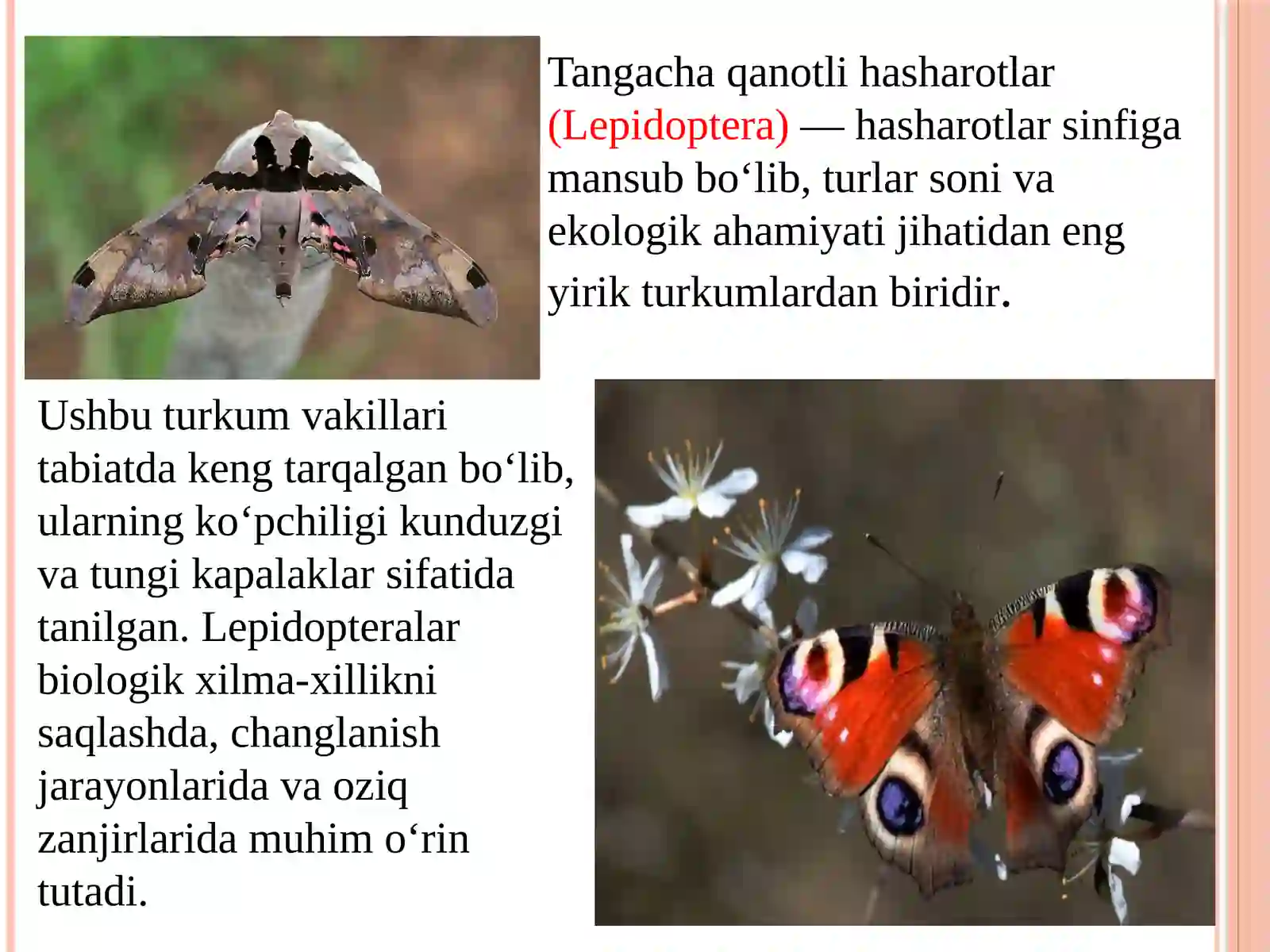 Tangachaqanotlihasharotlarvaularningaxamiyati 2