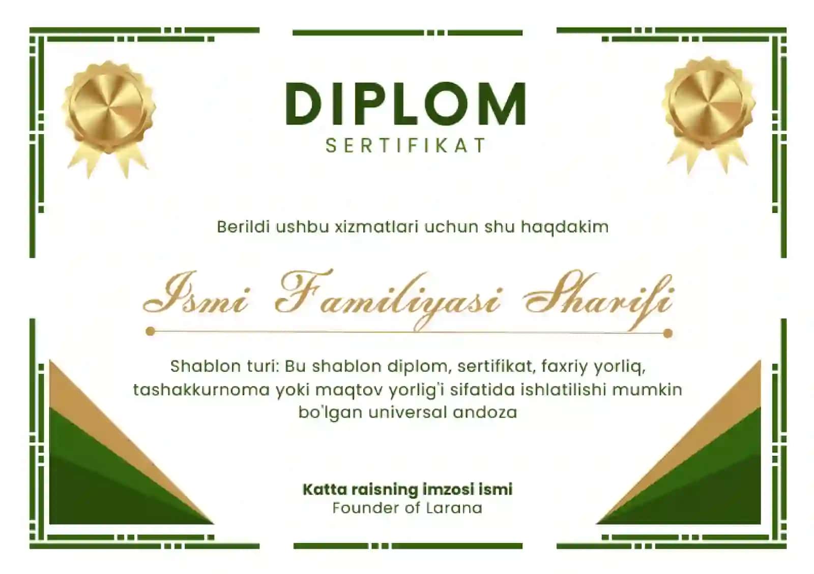 DIPLOM 2