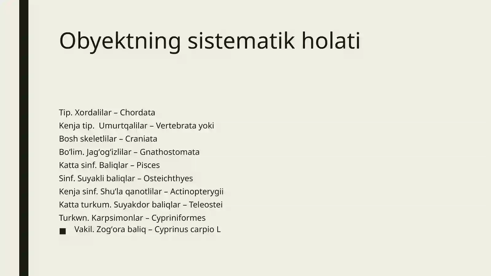 Suyaklibaliqlar(OSTEICHTHYES) sinfi 2