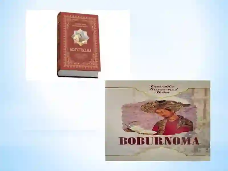 Boburnoma 2