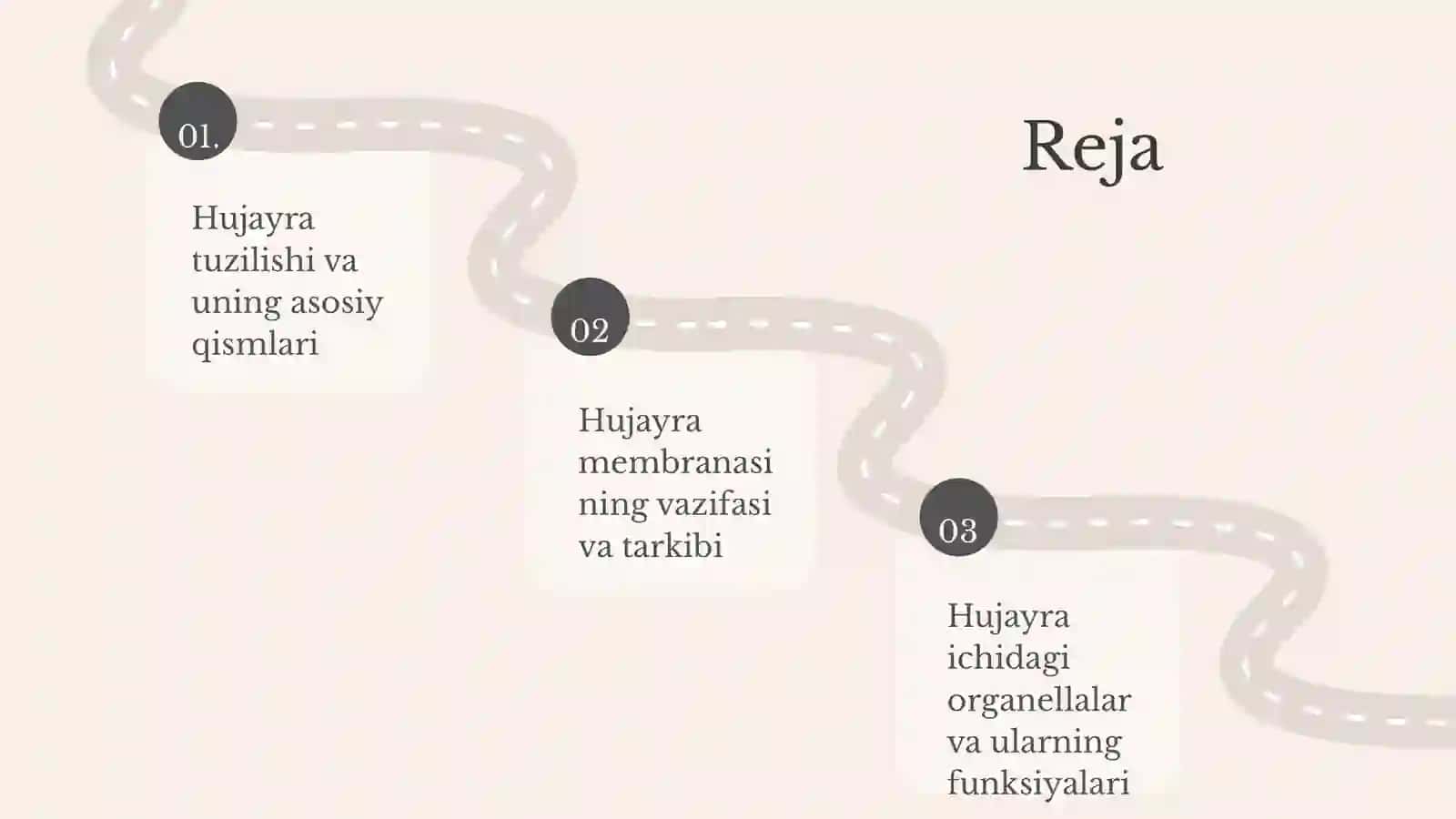 Hujayra Tuzilishi 2