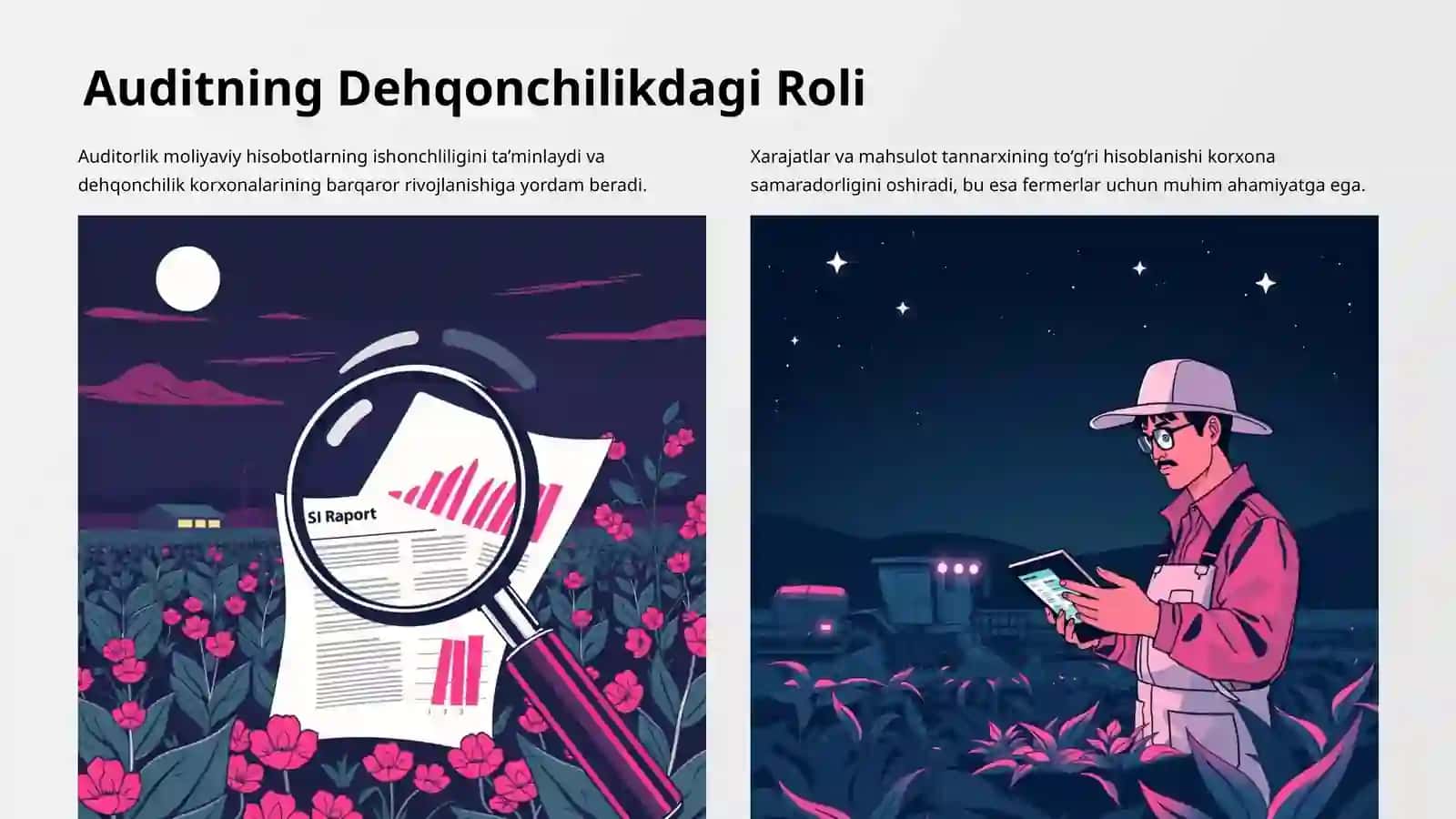 Dehqonchilikda Xarajatlar Hisobi va Mahsulot Tannarxini Kalkulyatsiyalash Auditi 2