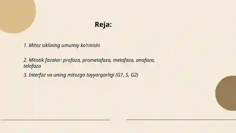 Mitoz sikli 2
