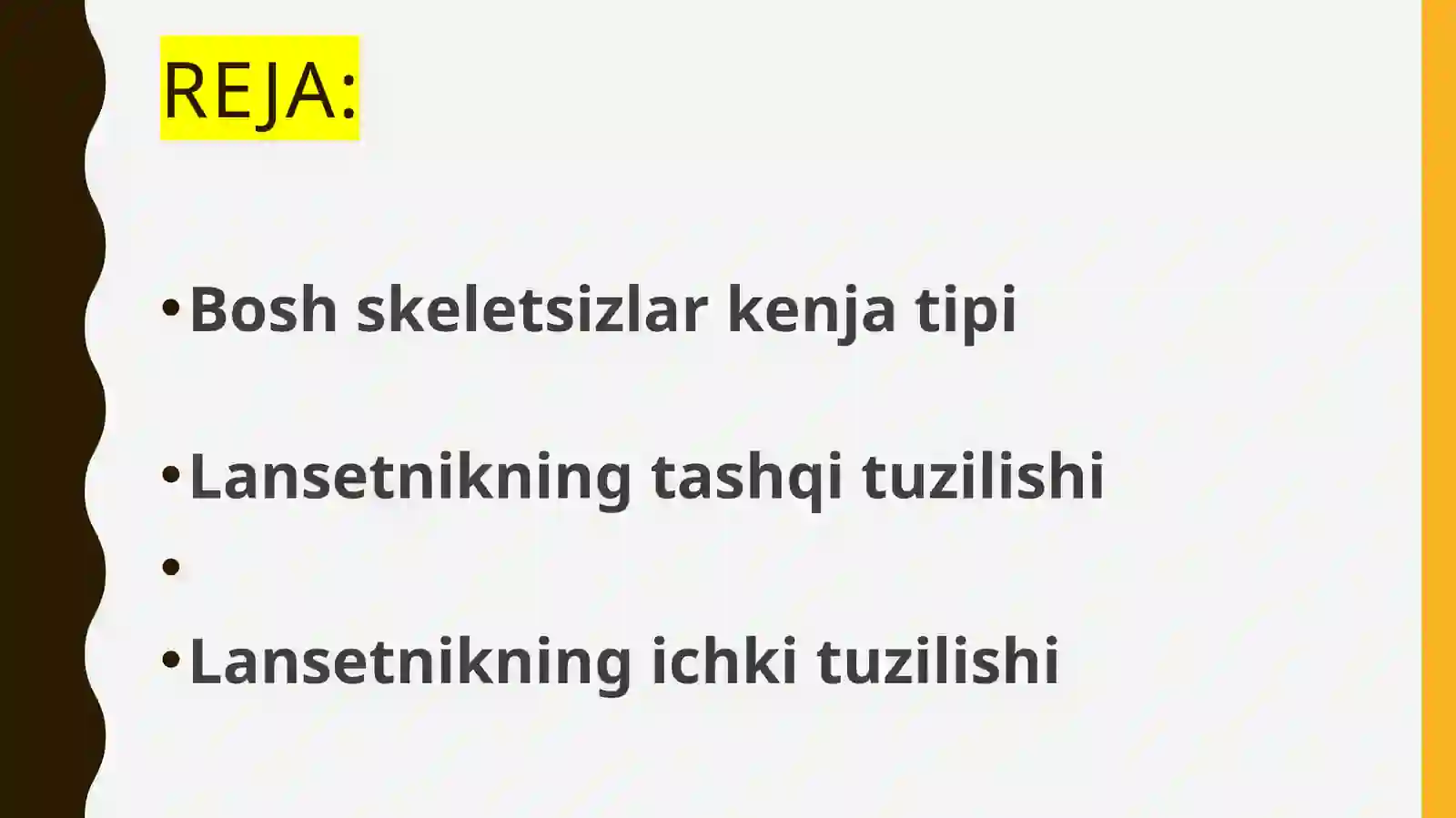 Bosh skeletsizlar kenja tipi 2