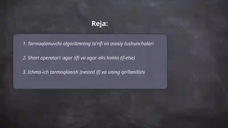 Tarmoqlanuvchi algoritm 2