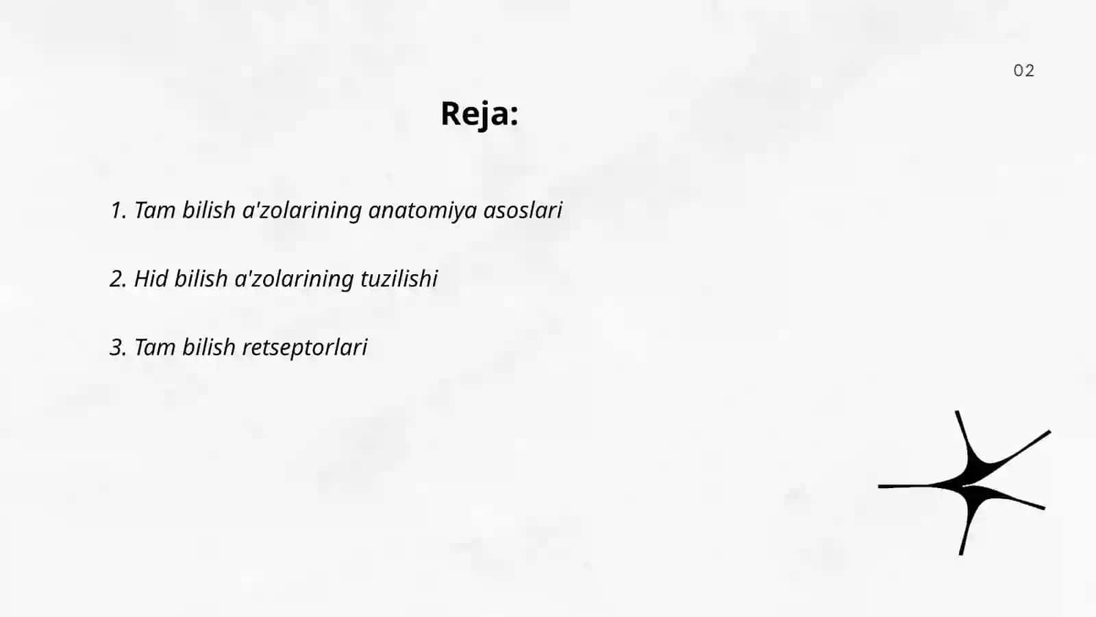 Tam bilish va hid bilish azolarining funksional anatomiyasi 2