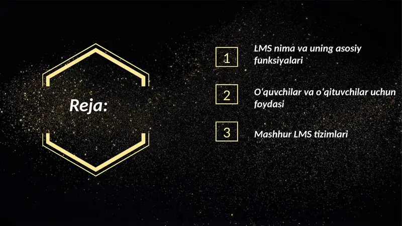 LMS (Learning Management System) 2