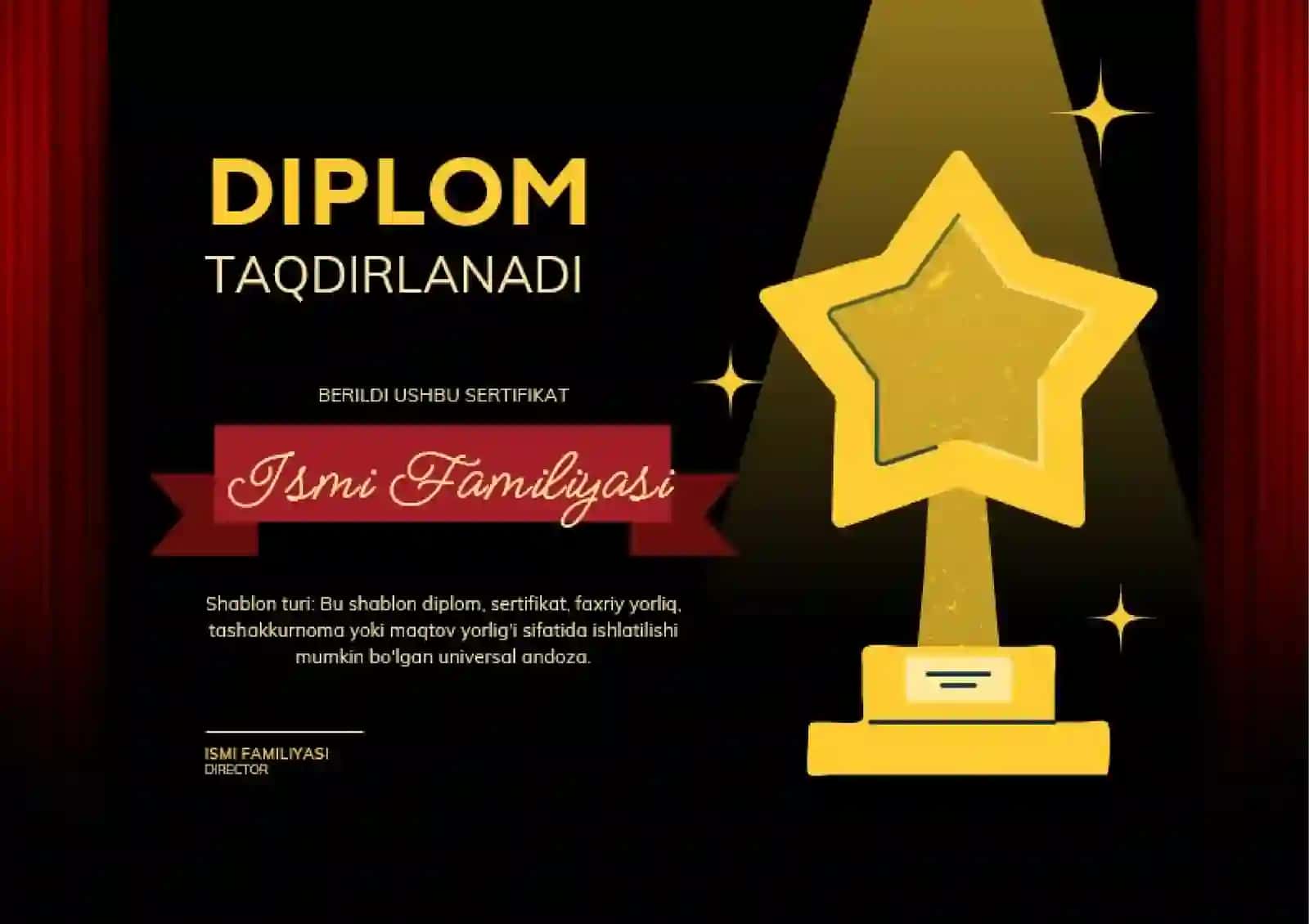 DIPLOM 2