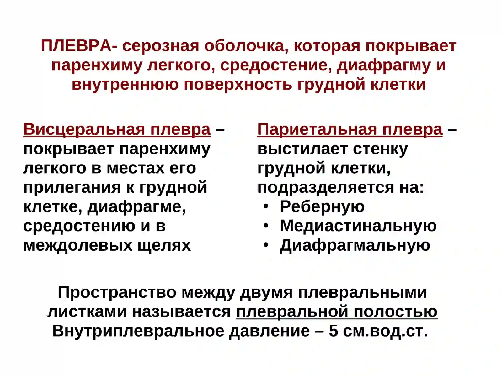 Плевриты 2
