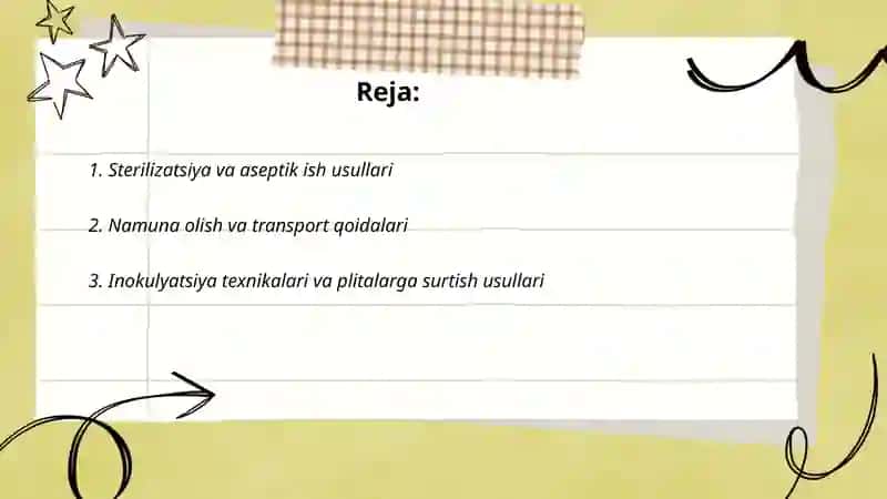Mikroorganizmlarning sof kulturasini ajratish va idenfikatsiya qilish 2