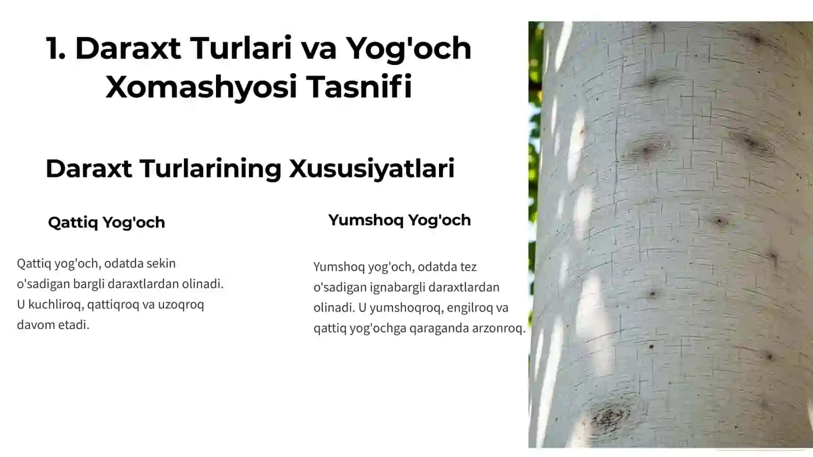 Qattiq Yog'och 2