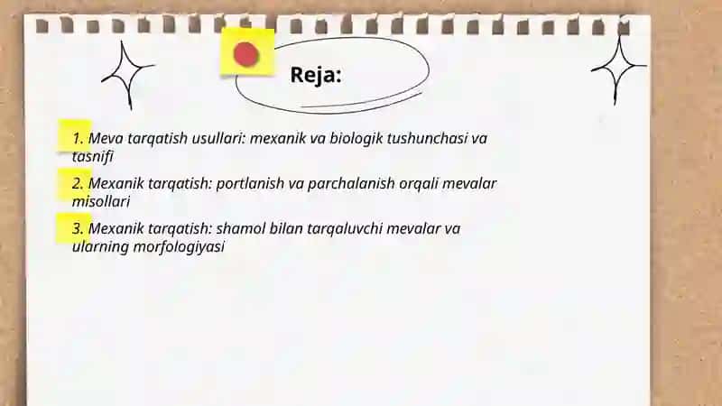Mevalarni mexanik va biologik tarqatish usullariga qarab guruhlash va ko'rgazma qilish 2