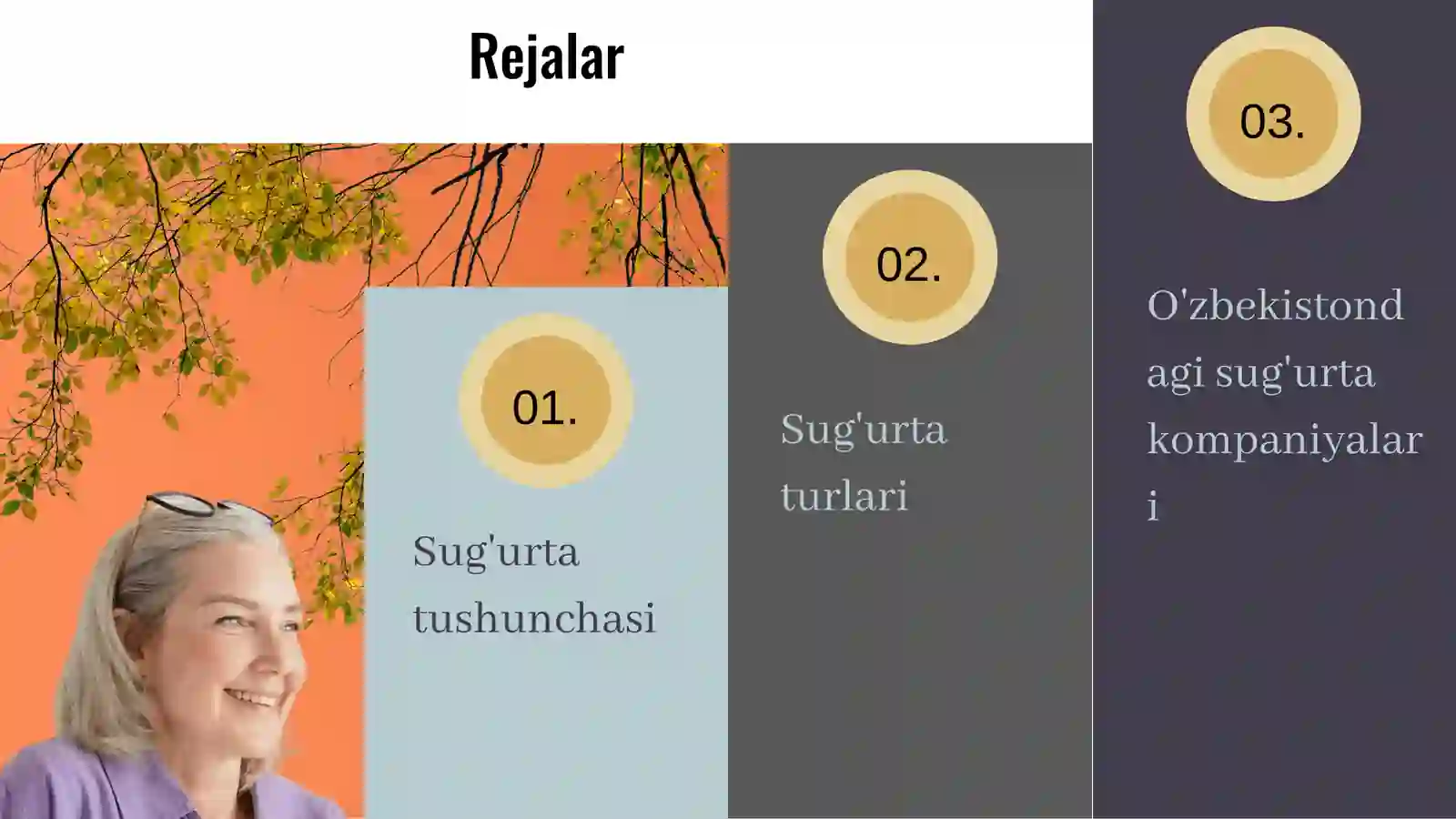 Sug'urta 2