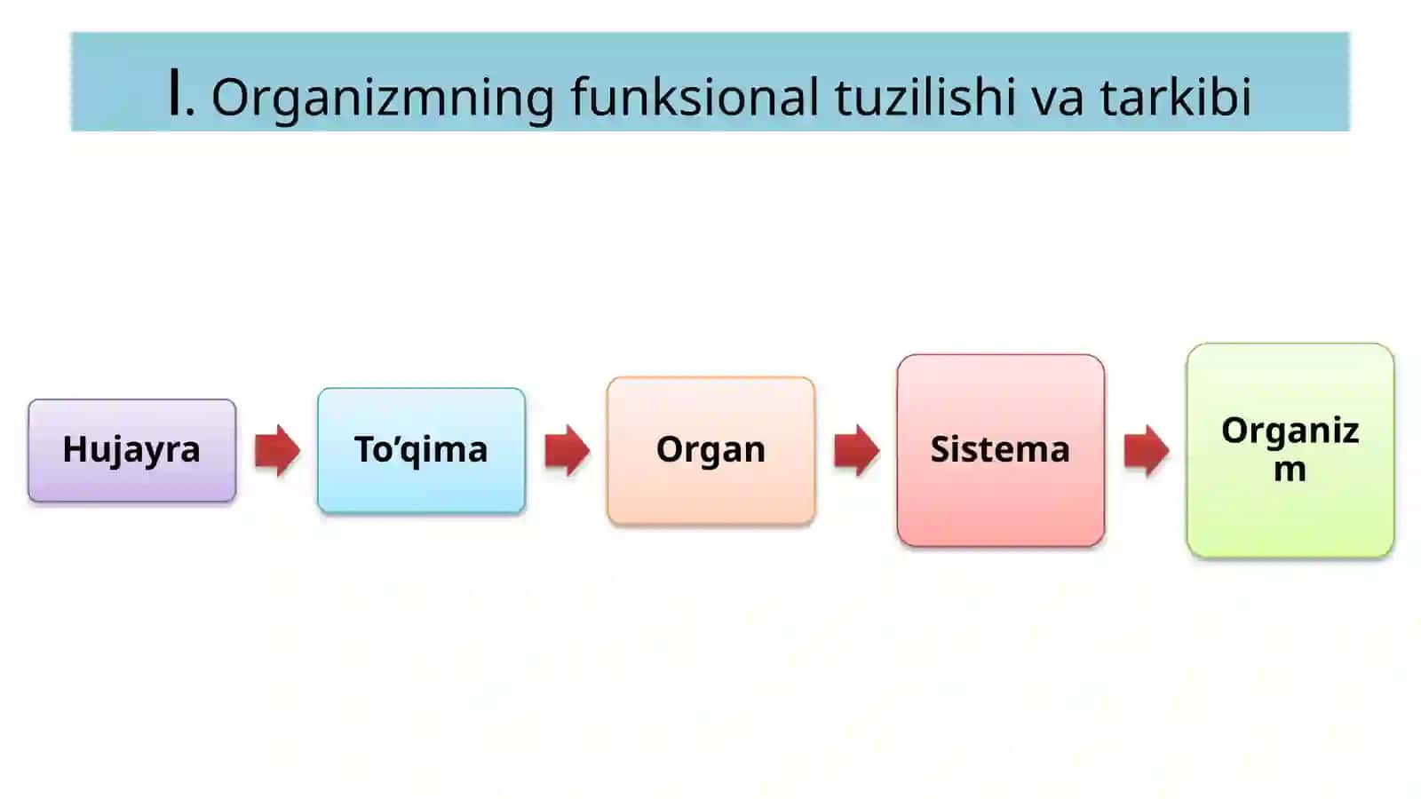 Fiziologiyaga kirish 2