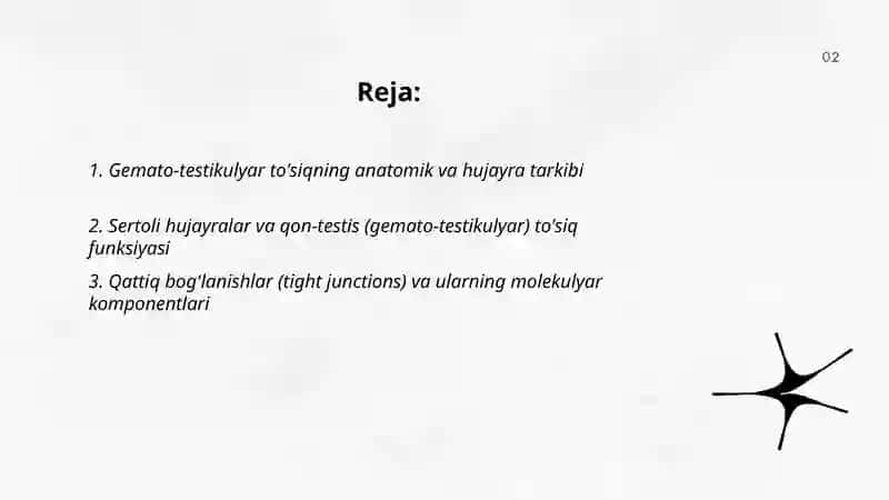 Gemato-testikulyar to'sig'ining gistofiziologiyasi 2