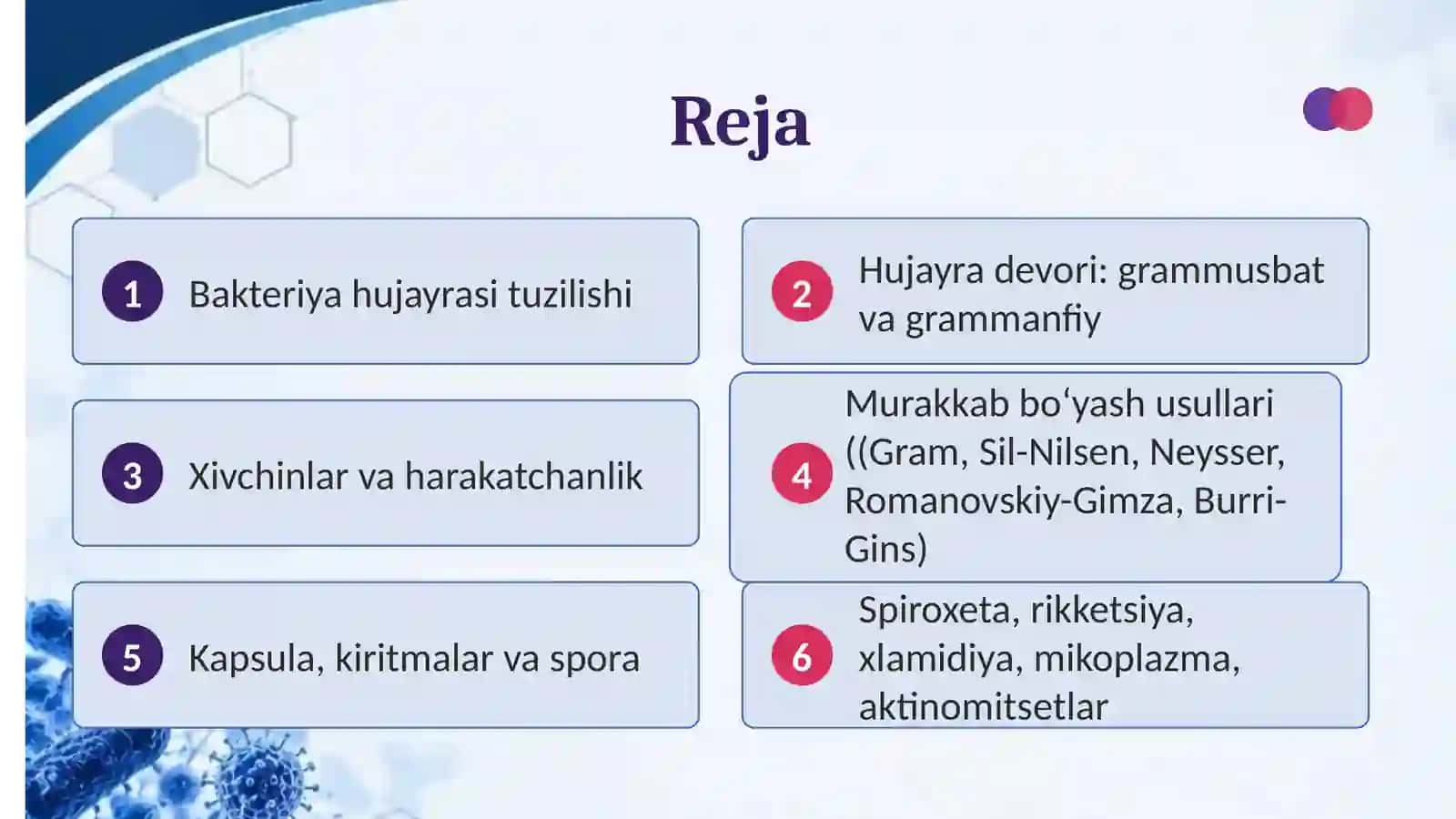 Bakteriya hujayrasi tuzilishi 2