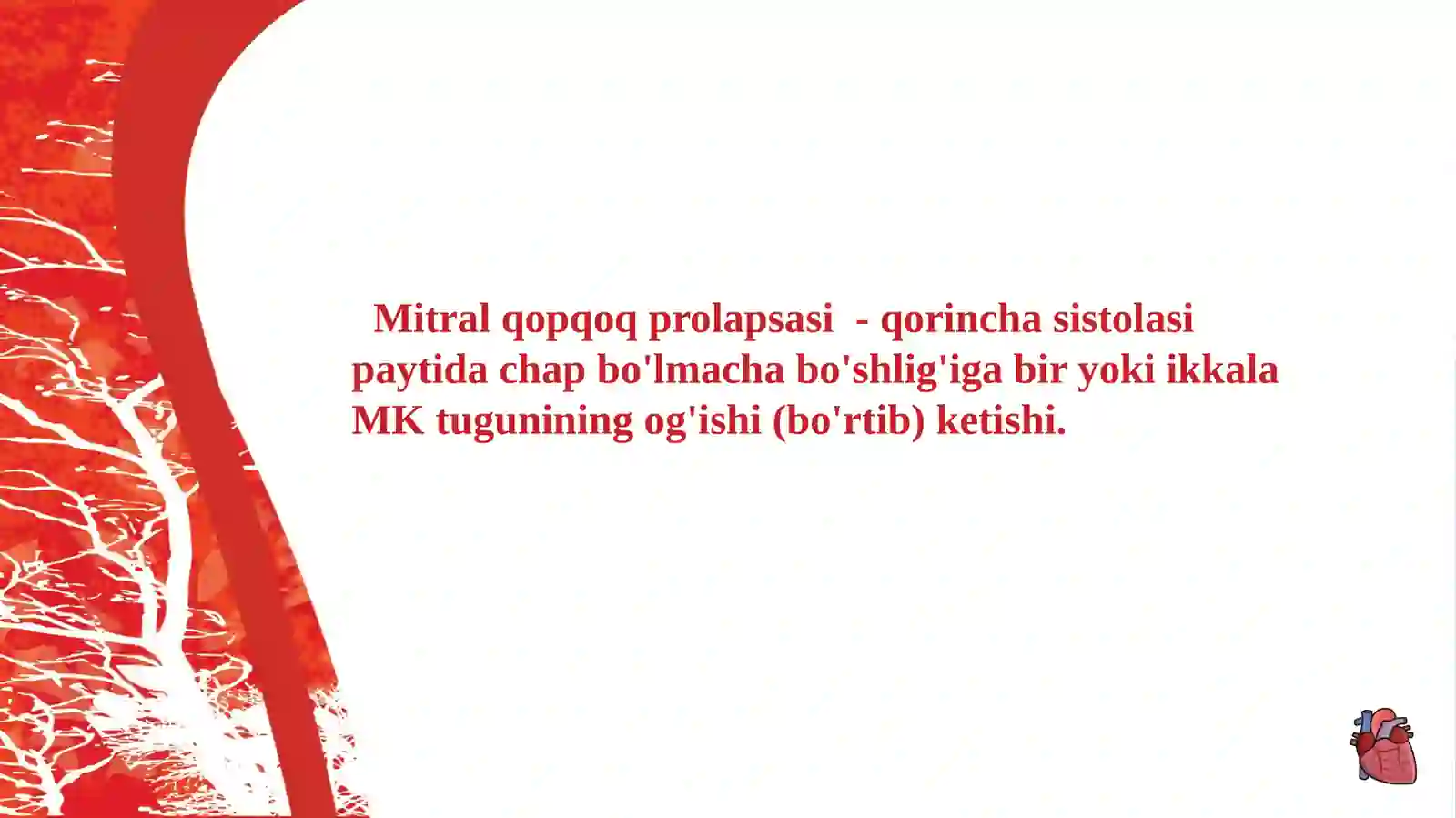 MITRAN KLAPAN PROLAPSI 2