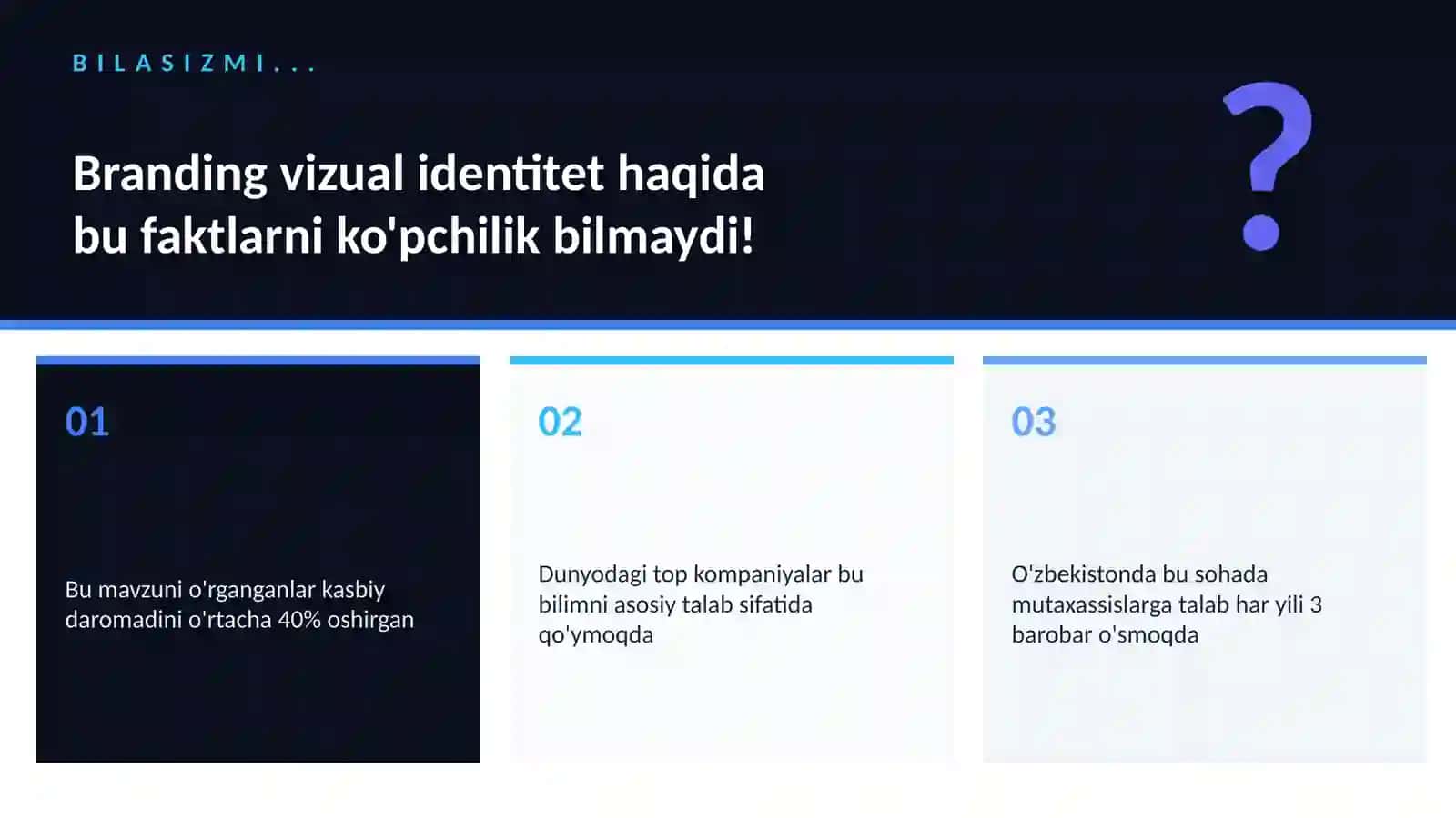 Branding vizual identitet 2