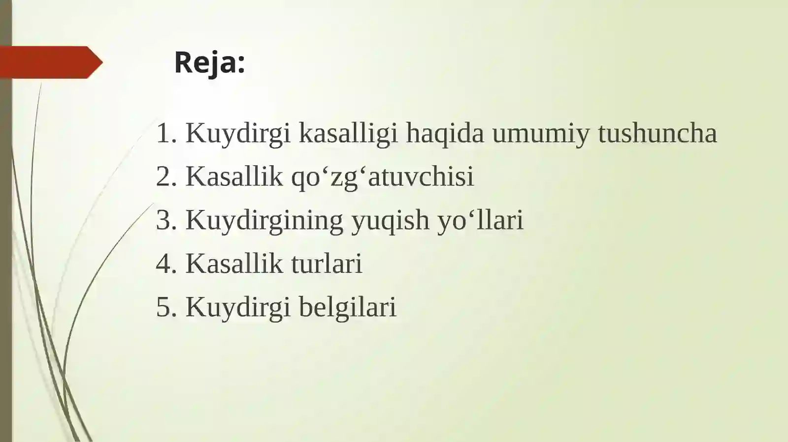Kuydurgi 2