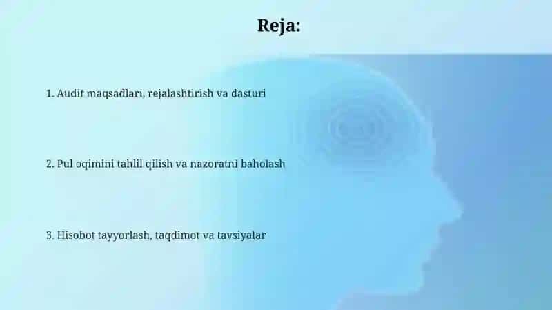Pul mablag'lari harakati bilan bog'liq muammolar auditini tashkil etish va o'tkazish tartibi 2
