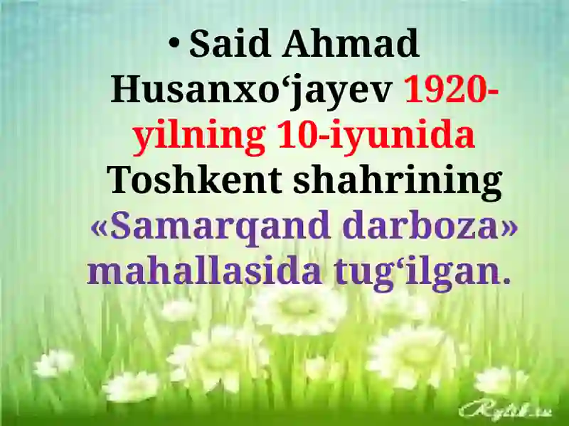 Said Ahmad 2