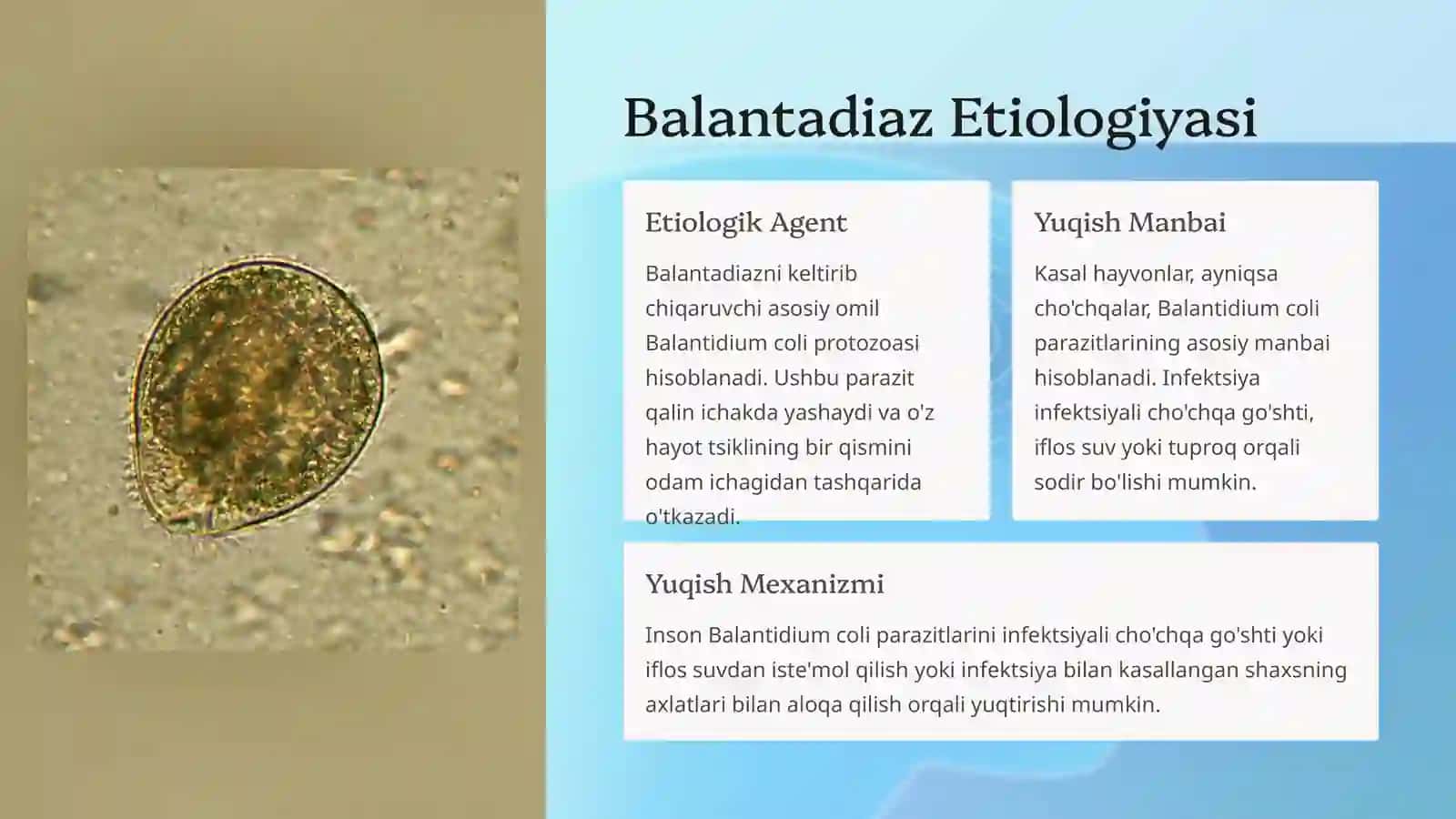 Balantadiaz Etiologiyasi 2