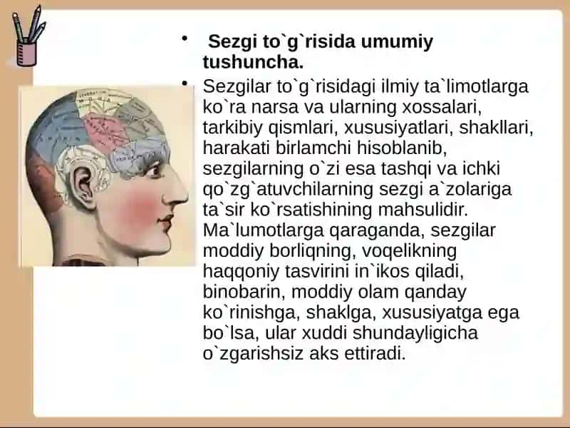 SEZGI 2