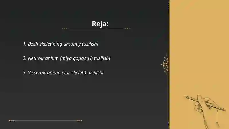 Bosh skeleti 2