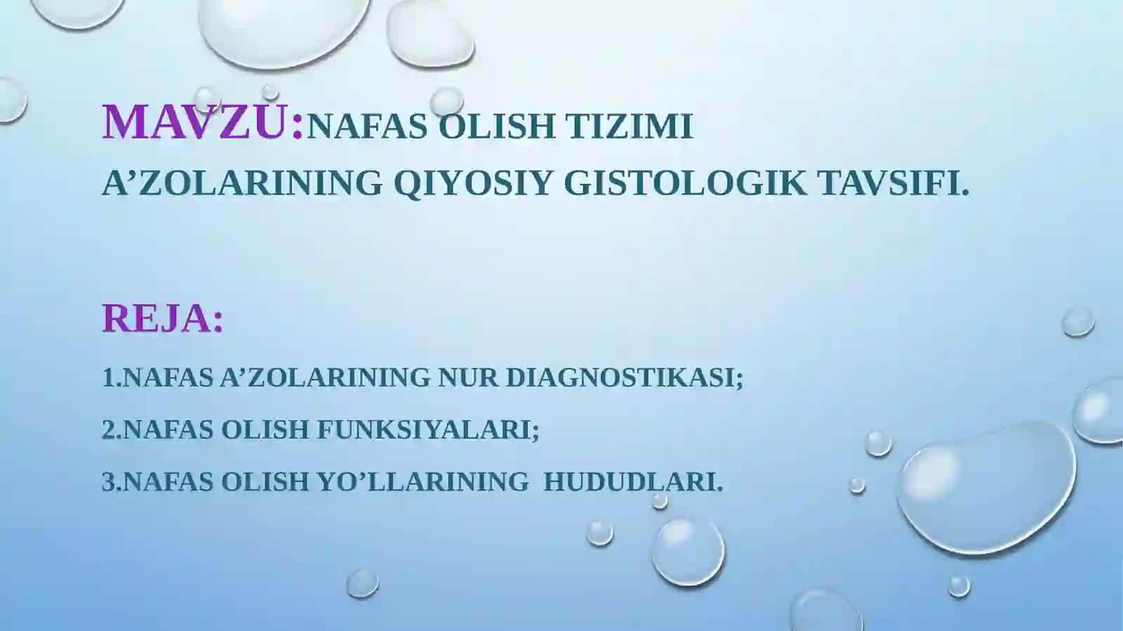 Nafas olish tizimi a’zolarining qiyosiy gistologik tavsifi 2