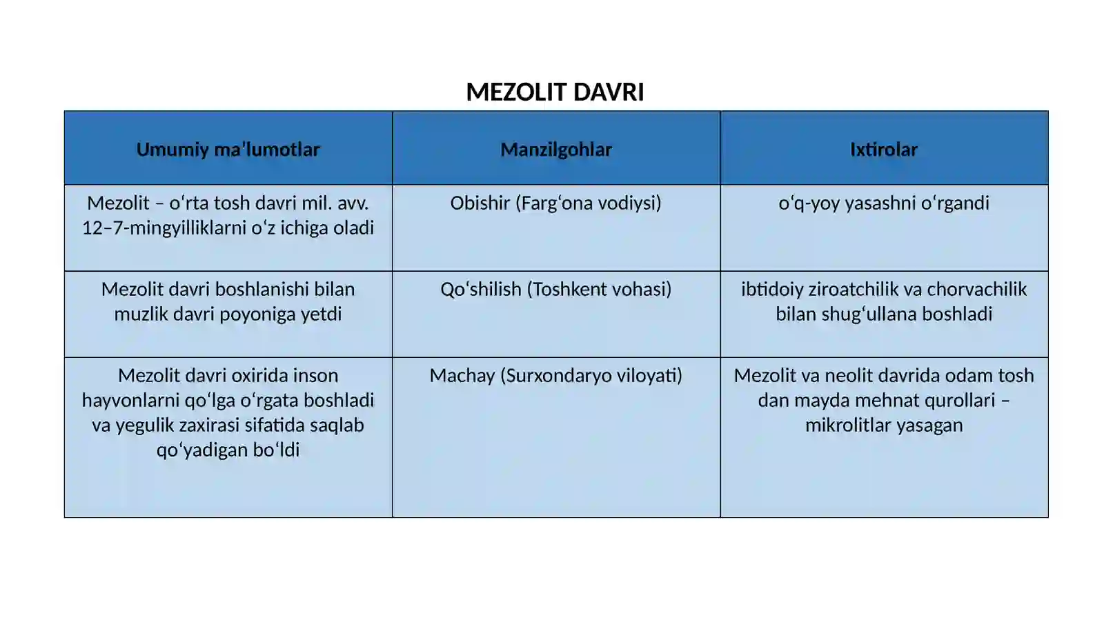 SO‘NGGI PALEOLIT DAVRI 2