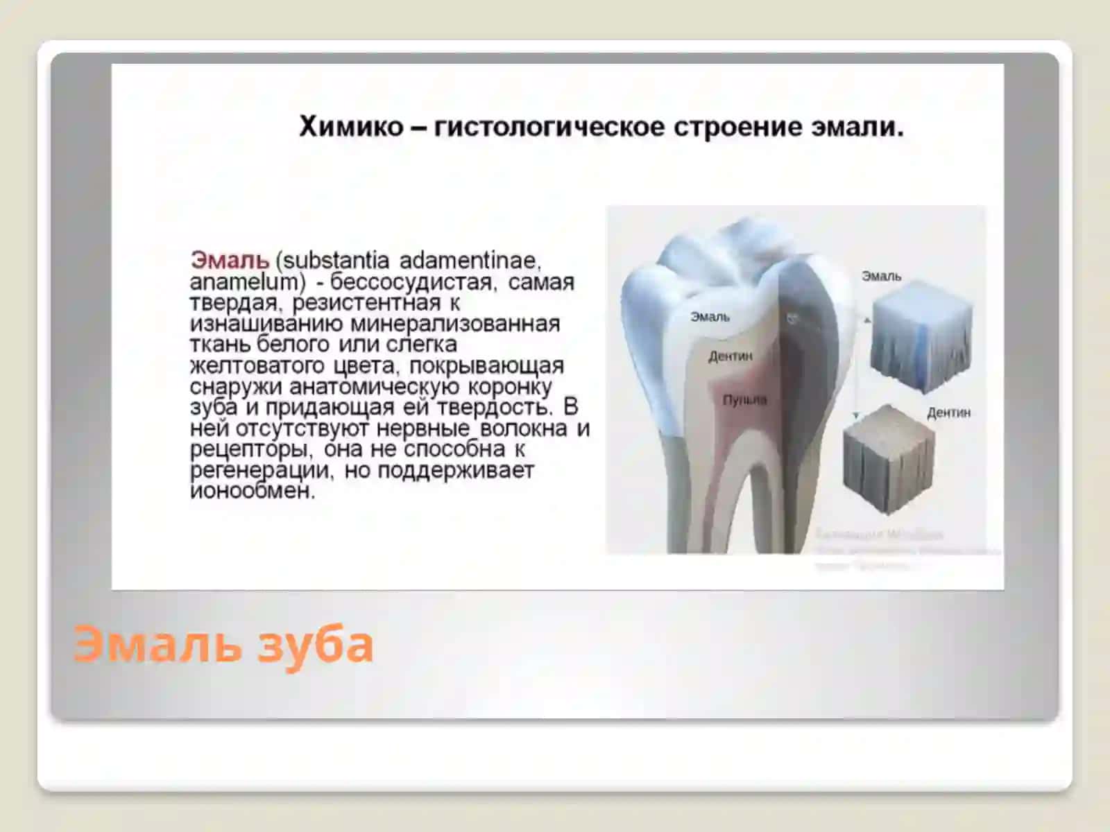 Эмаль зуба 2