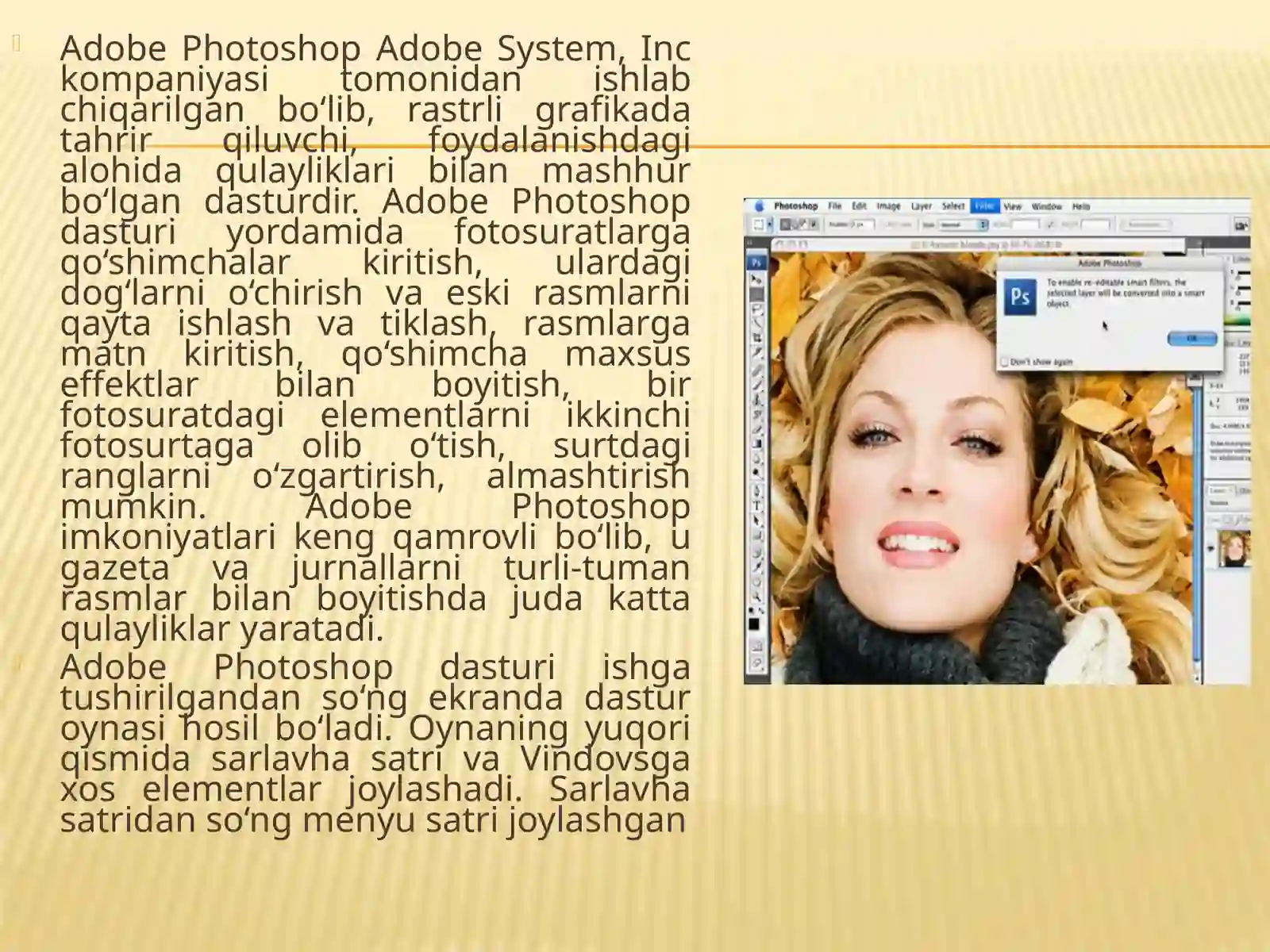 Adobe Photoshop 2