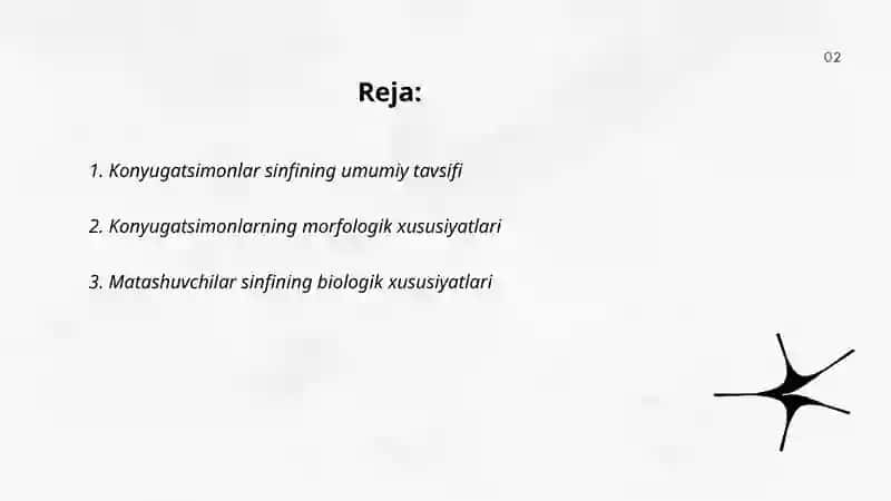 Konyugatsimonlar yoki matashuvchilar sinfining xarakteri belgilari, klassifikatsiyasi.Zigmentlar tartibi vakillari 2
