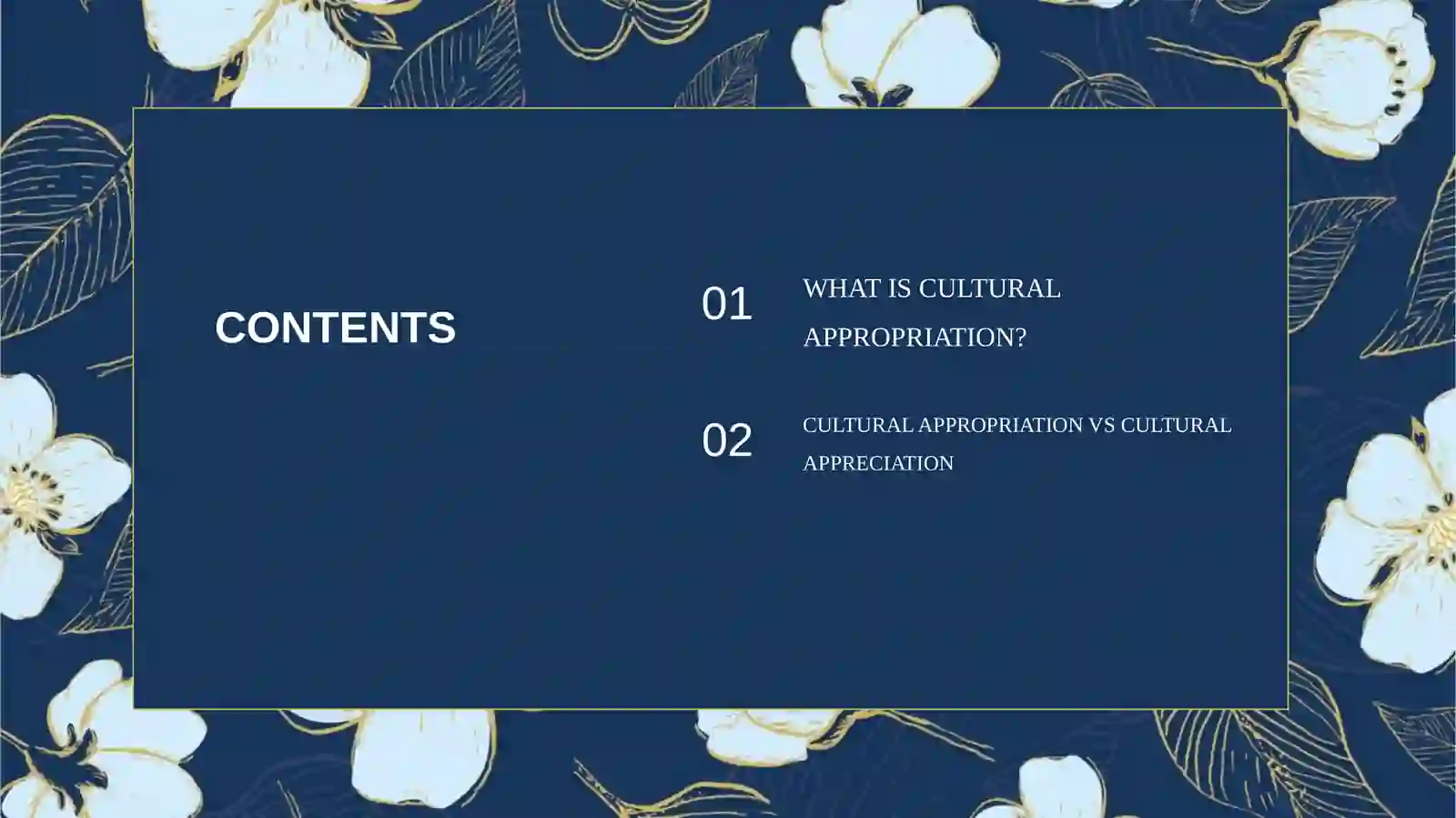 CULTURAL APPROPRIATION 2