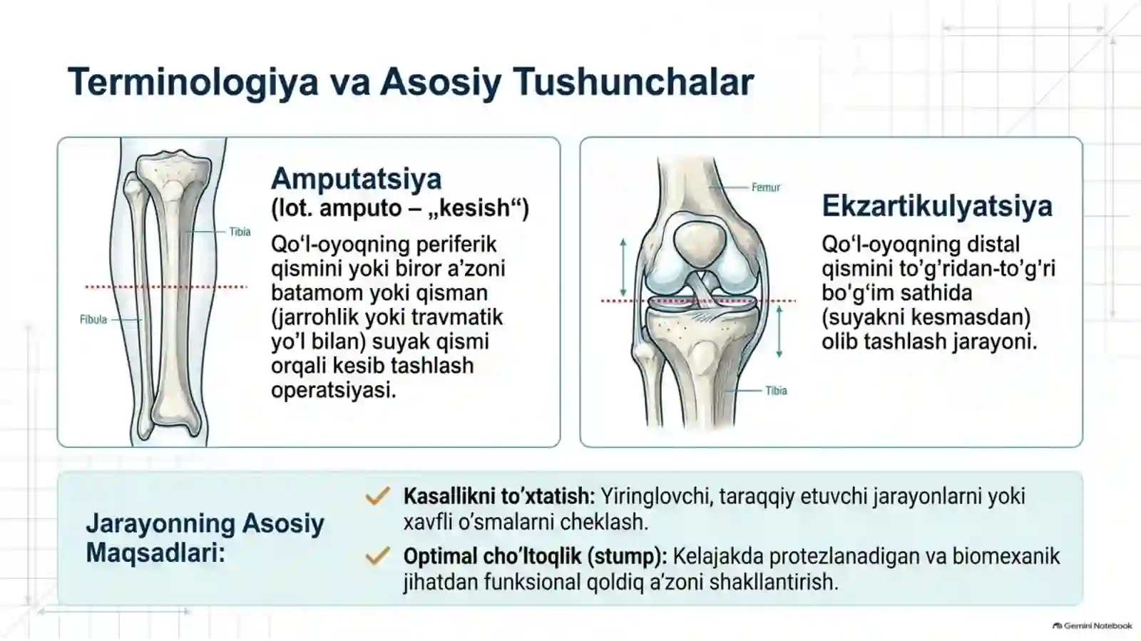AMPUTATSIYA, PROTEZLASH ISHLARI VA NOGIRONLAR REABILITATSIYASI | 15 SLAYDLI TIBBIY TAQDIMOT 2