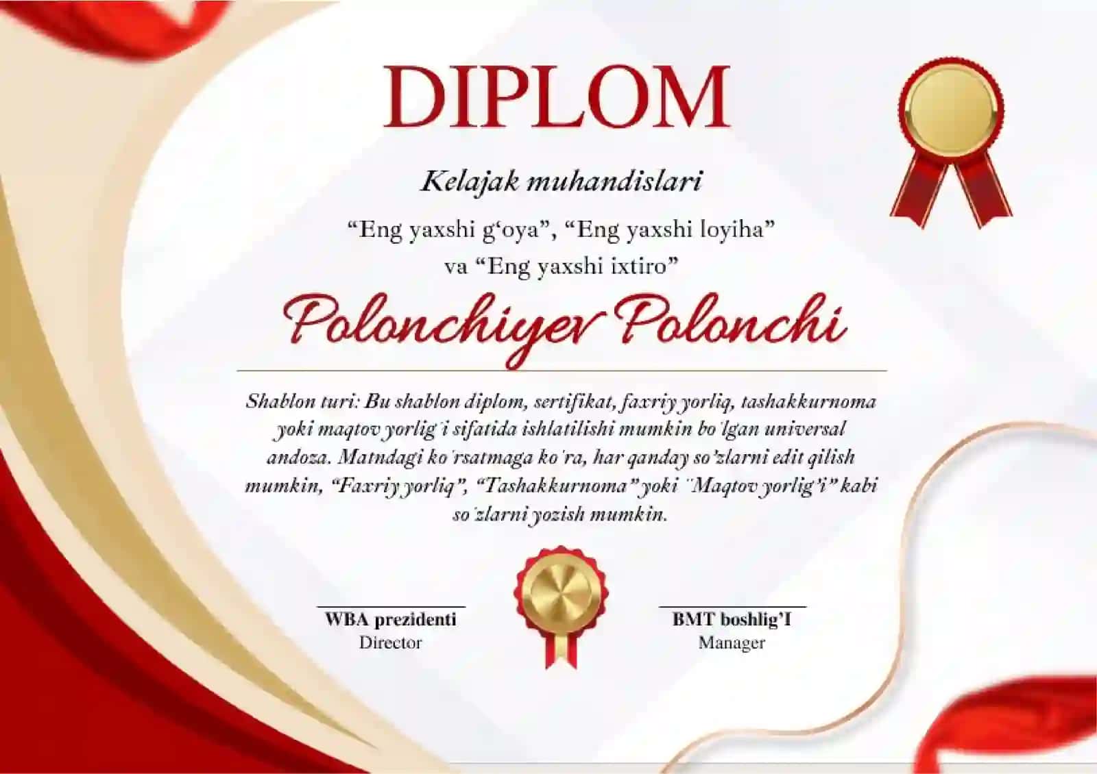 DIPLOM 2