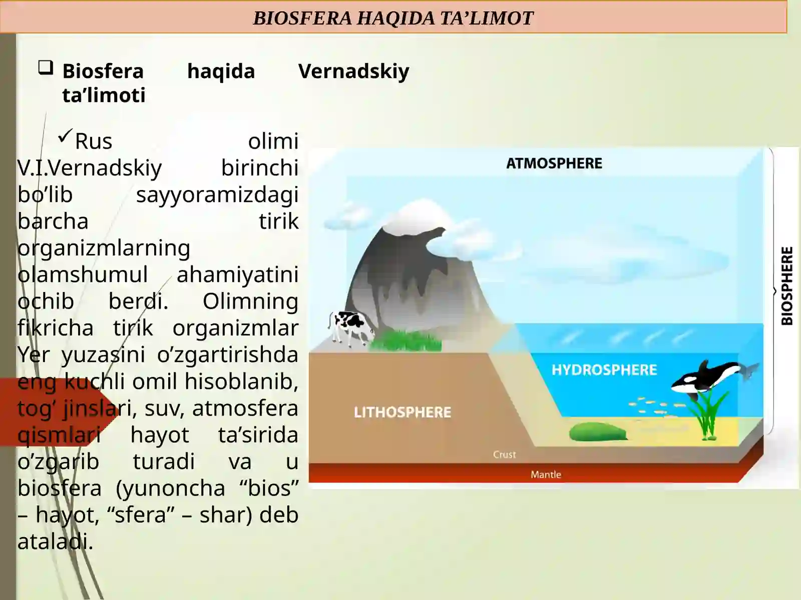 BIOSFERA VA UNING TUZILISHI 2