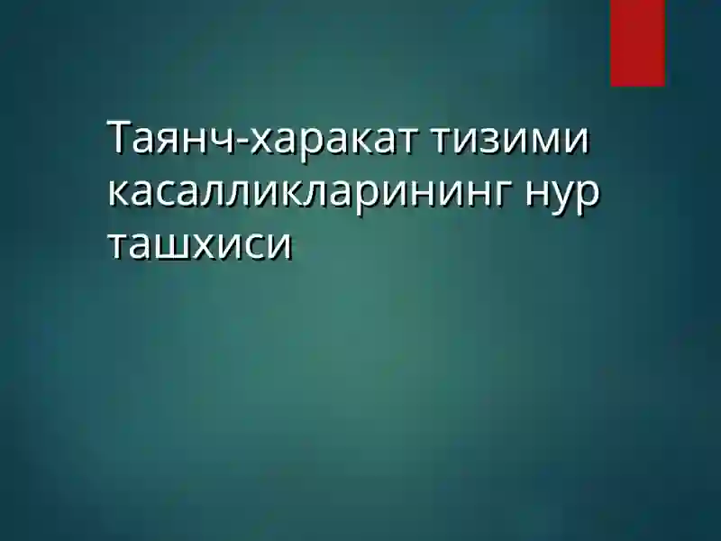 Таянч-харакат тизими 2