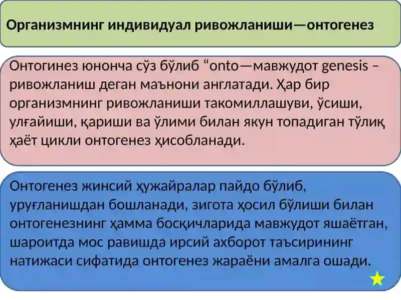 Онтогенез –организмларнингиндивидуалривожланиши. Регенерация, трансплантациявагомеостаз. 2