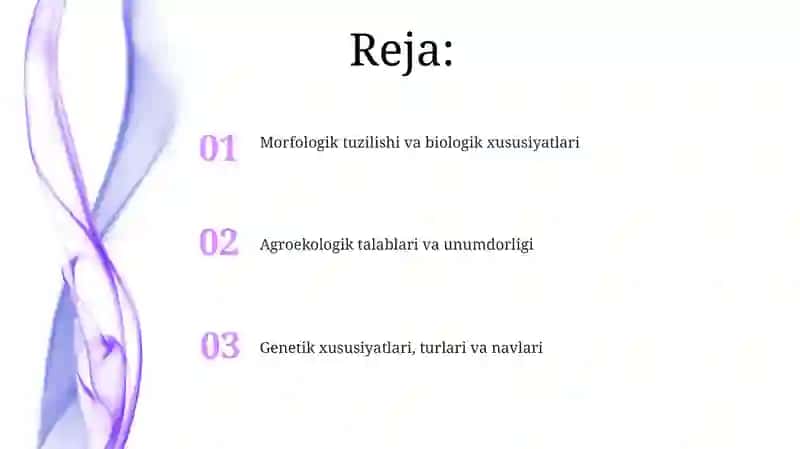 Poliz ekinlarining morfologik va biologik xususiyatlari 2