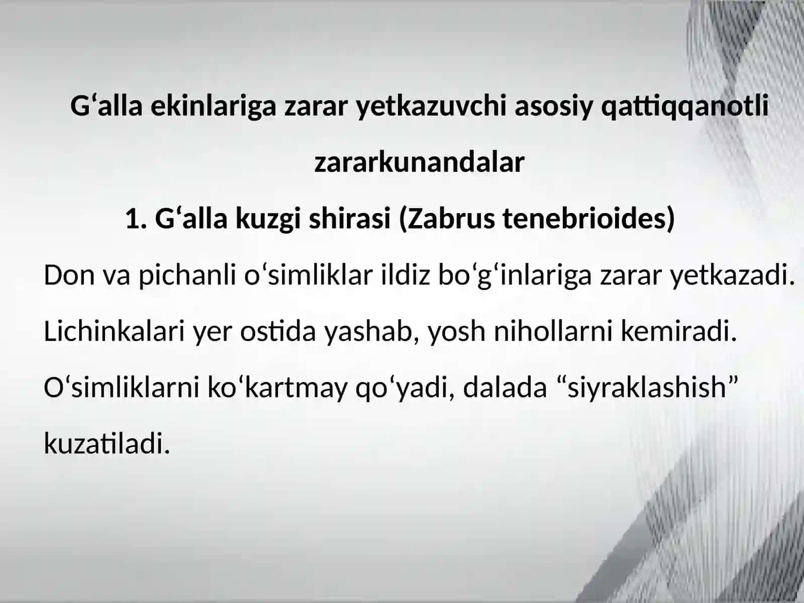 G'alla ekinlariga zarar yetkazuvchi qattiqqanotli zarakunandalar va ularga qarshi kurashish chora tadbirlari 2